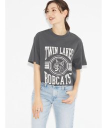 Levi's/グラフィック Tシャツ　グレー TWIN LAKES BOBCATS/506077287