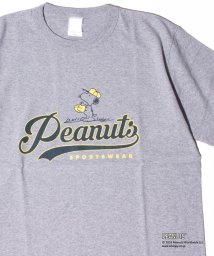 GLOSTER(GLOSTER)/【PEANUTS/ピーナッツ】プリント リンガーTシャツ /ライトグレー