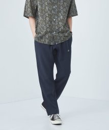 green label relaxing(グリーンレーベルリラクシング)/＜GRAMICCI＞GLR ポリエステルトロ ニューテーパード パンツ/NAVY