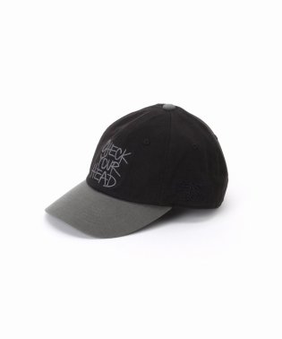 JOURNAL STANDARD/《予約》BEASTIE BOYS / ビースティ・ボーイズ 別注 TWO TONE CAP/506080505