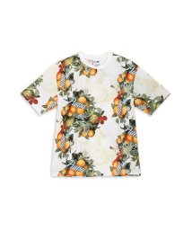 PUMA(プーマ)/メンズ フルーティ MX AOP 半袖 Tシャツ/PUMAWHITE