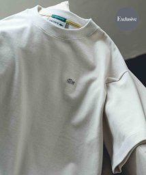 URBAN RESEARCH DOORS(アーバンリサーチドアーズ)/『別注』LACOSTE×DOORS　moss stitch Short－Sleeve TEE/HAMMAM