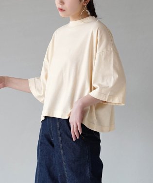 zootie/URBAN PLUS クロップドTシャツ/506080978