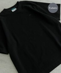 URBAN RESEARCH(アーバンリサーチ)/『別注』LACOSTE×UR　moss stitch short－sleeve t－shirts/031NOIR