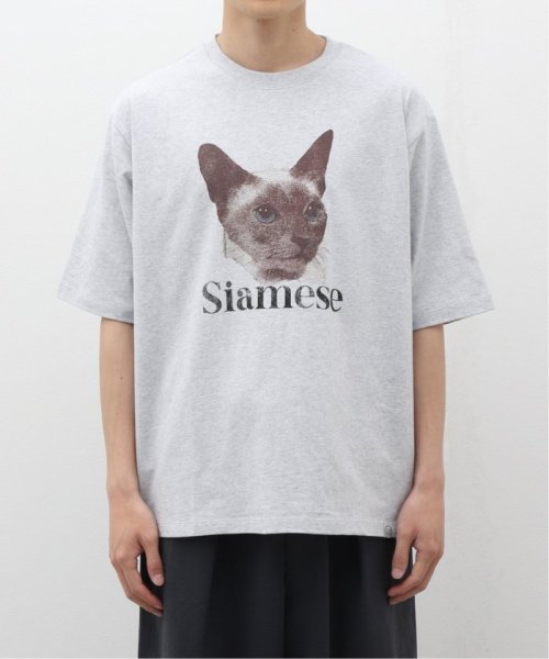 B.C STOCK(ベーセーストック)/DOG＆CAT ASOORTED Tシャツ/ホワイトD