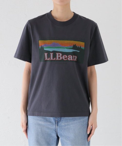 SLOBE IENA(スローブ　イエナ)/L.L.BEAN/エルエルビーン GARMENT DYE TEE 4275－6164/グレー