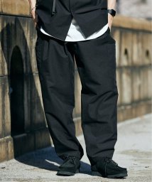 JOURNAL STANDARD relume Men's(ジャーナルスタンダード　レリューム　メンズ)/DAIWA 別注 DOTAIR STREAM PANTS/ブラック