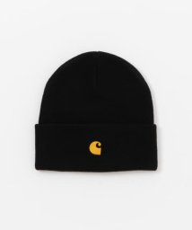 SENSE OF PLACE by URBAN RESEARCH/CARHARTT　CHASE BEANIE/506026930