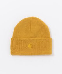 SENSE OF PLACE by URBAN RESEARCH/CARHARTT　CHASE BEANIE/506026930