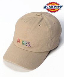 marukawa shonan(marukawa shonan)/【Dickies/ディッキーズ】レインボー刺繍 ローキャップ 帽子 メンズ レディース /ベージュ