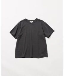 JOURNAL STANDARD(ジャーナルスタンダード)/《予約》【FOLL / フォル】full strain wardrobe tee/グレーA