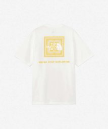 ABAHOUSE(ABAHOUSE)/【THE NORTH FACE】バンダナ柄 ロゴTシャツ/ホワイト