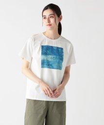 Afternoon Tea LIVING/Ｔシャツ/Lake/岡崎直哉/506084949