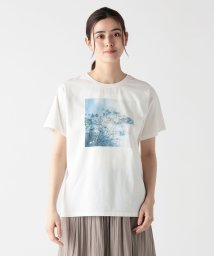 Afternoon Tea LIVING/Ｔシャツ/Flower/岡崎直哉/506084951