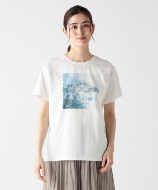 Afternoon Tea LIVING/Ｔシャツ/Flower/岡崎直哉/506084951