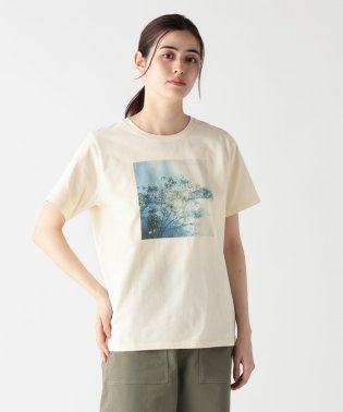 Afternoon Tea LIVING/Ｔシャツ/Flower/岡崎直哉/506084952