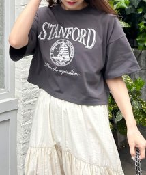 INGNI(イング)/カレッジロゴショートTシャツ                          /チャコールグレー