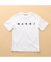 MARNI/MARNI KIDS Tシャツ M002MV M00HZ 半袖 カットソー/506091803