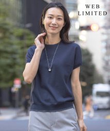 J.PRESS LADIES(J．プレス　レディス)/【WEB限定・洗える】Vis/Peスパーク ラメ配色 ニット/ネイビー系