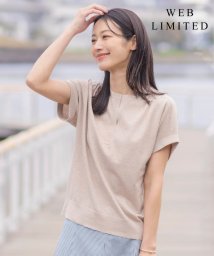 J.PRESS LADIES/【WEB限定カラーあり・洗える】Vis/Peスパーク バンドカラー ニット/506093054