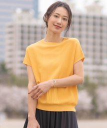 J.PRESS LADIES(J．プレス　レディス)/【洗える】レーヨンエリートストレッチ フレンチスリーブ ニット/マリーゴールド系