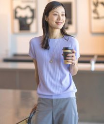 J.PRESS LADIES(J．プレス　レディス)/【洗える】レーヨンエリートストレッチ フレンチスリーブ ニット/ラベンダー系