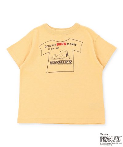 ボーダー天竺 SNOOPY Tシャツ