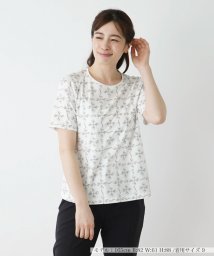 Leilian(レリアン)/Ｔシャツ【ROCHAS Premiere】/アイボリー