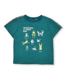 BeBe(ベベ)/スラブ天竺昆虫図鑑半袖Tシャツ(80~150cm)/グリーン