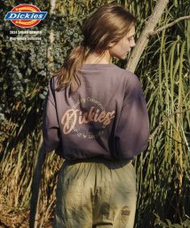 MAC HOUSE(women)(マックハウス（レディース）)/Dickies ディッキーズ 切替えルーズシルエットTシャツ 4282－9935/ブラウン