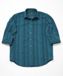 Men's Bigi(メンズビギ)/ストライプメッシュ7分シアーシャツ/グリーン