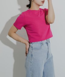 SENSE OF PLACE by URBAN RESEARCH(センスオブプレイス バイ アーバンリサーチ)/クロップドTシャツ(半袖)/PINK