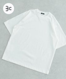 ITEMS URBANRESEARCH(アイテムズアーバンリサーチ（メンズ）)/USAコットン 接触冷感 シルケットT－shirts/WHT