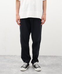 JOURNAL STANDARD(ジャーナルスタンダード)/HOUDINI / フーディニ Ms Wadi Pants 260724/ブラック