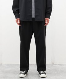 JOURNAL STANDARD/Goldwin / ゴールドウィン One Tuck Tapered Light Pants GL74189/506096702