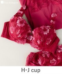 fran de lingerie(フランデランジェリー)/バストメイクの真骨頂可憐な花びら刺繍 「グレースイストフラワーペタル ブラジャー（ワイヤー有り）」 ブラジャー/ワイン