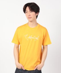 STYLEBLOCK/半袖プリントTシャツ(California)/506084856