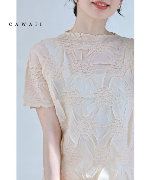 CAWAII(カワイイ)/浮かび上がる紫陽花のシアーベールカットソートップス/ベージュ