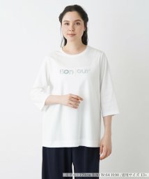 Leilian PLUS HOUSE(レリアンプラスハウス)/Ｔシャツ【Leilian WHITE LABEL】/ブルー系