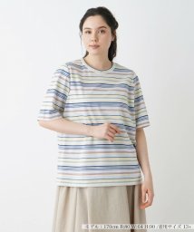 Leilian PLUS HOUSE(レリアンプラスハウス)/Ｔシャツ【Leilian WHITE LABEL】/サックス