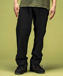 phenix(phenix)/phenix outdoor(フェニックスアウトドア) AlertPants (アラートパンツ) スタンダードフィット トレッキングパンツ アウトドア ハイキン/ブラック