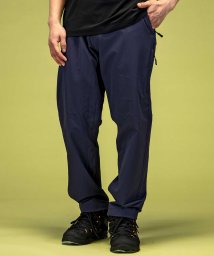 phenix(phenix)/phenix outdoor(フェニックスアウトドア) AlertPants (アラートパンツ) スタンダードフィット トレッキングパンツ アウトドア ハイキン/ネイビー