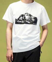 phenix(phenix)/phenix outdoor(フェニックスアウトドア) ダウラギリTシャツ メンズ Tシャツ 速乾 ストレッチ 日焼け防止 快適 抗菌 防臭 ティーシャツ イン/オフホワイト