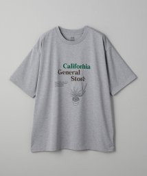 California General Store/＜CGS.＞ プラント ツリー ラック Tシャツ/506093816