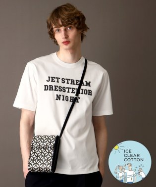 DRESSTERIOR/【接触冷感／抗菌防臭／消臭】ICE CLEAR COTTON ロゴTシャツ/506100496