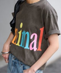 FRAMeWORK/STUDIO WEAREALLANIMALS Animals Letter Tシャツ/506101640