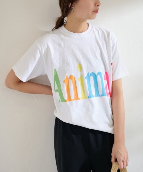 FRAMeWORK(フレームワーク)/STUDIO WEAREALLANIMALS Animals Letter Tシャツ/ホワイト