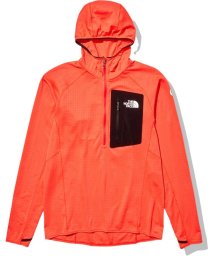 THE NORTH FACE(ザノースフェイス)/THE　NORTH　FACE ノースフェイス アウトドア エクスペディションドライドットフーデ/その他系3