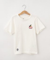 Dessin(kids)/CHUMS（チャムス）キッズアンチバグアイムアブービーバード！Tシャツ/506102596