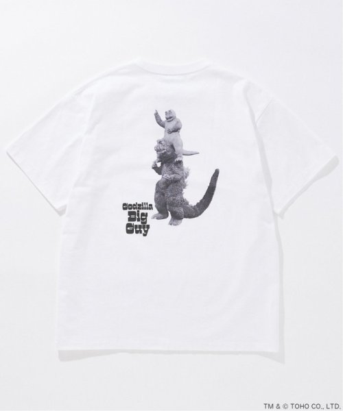 JOURNAL STANDARD(ジャーナルスタンダード)/《予約》CHAMPION / JS GODZILLA 70th PRINT TEE/ホワイトC